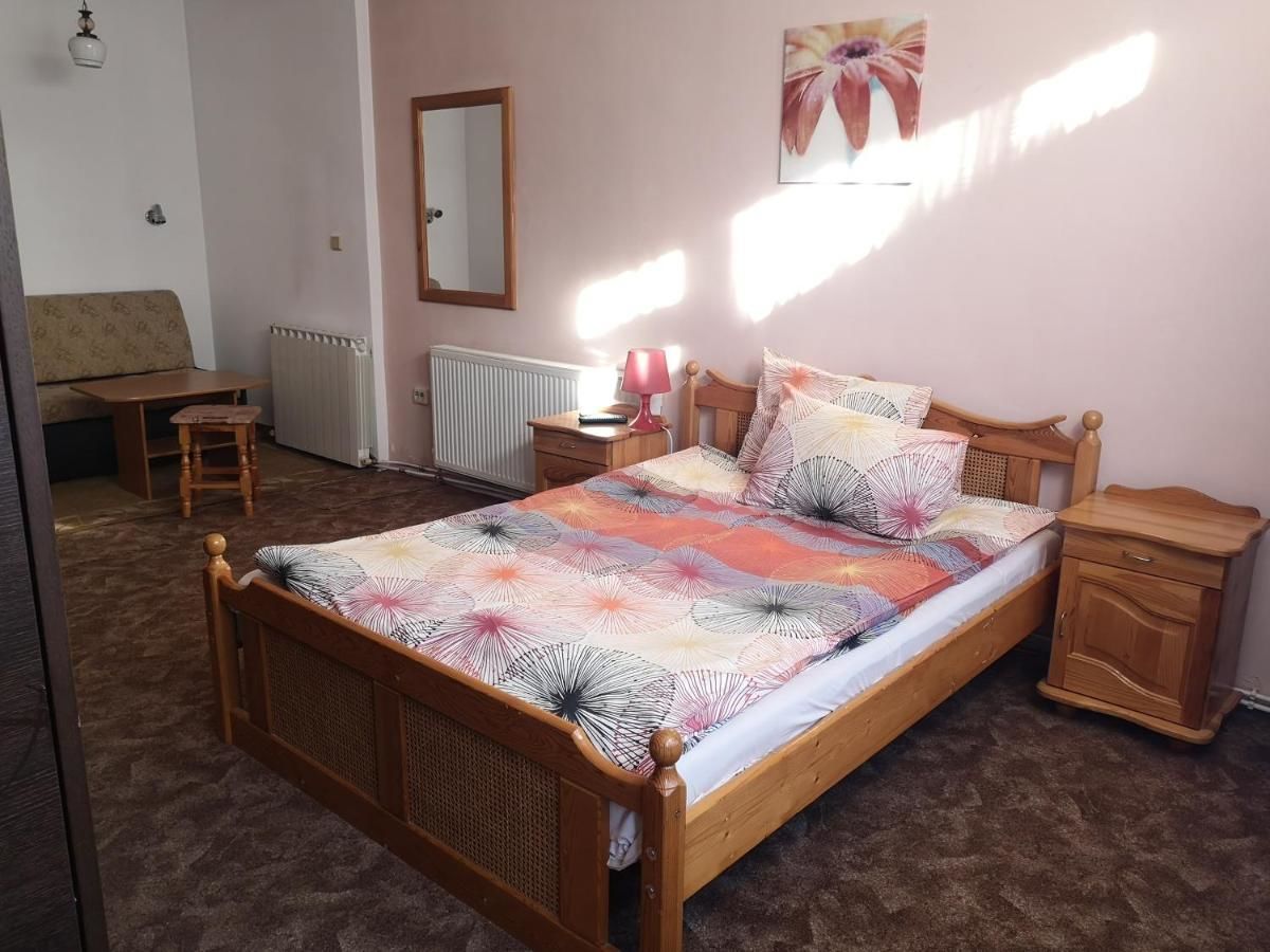 Гостевой дом Andreevi Guest House Добриниште-26