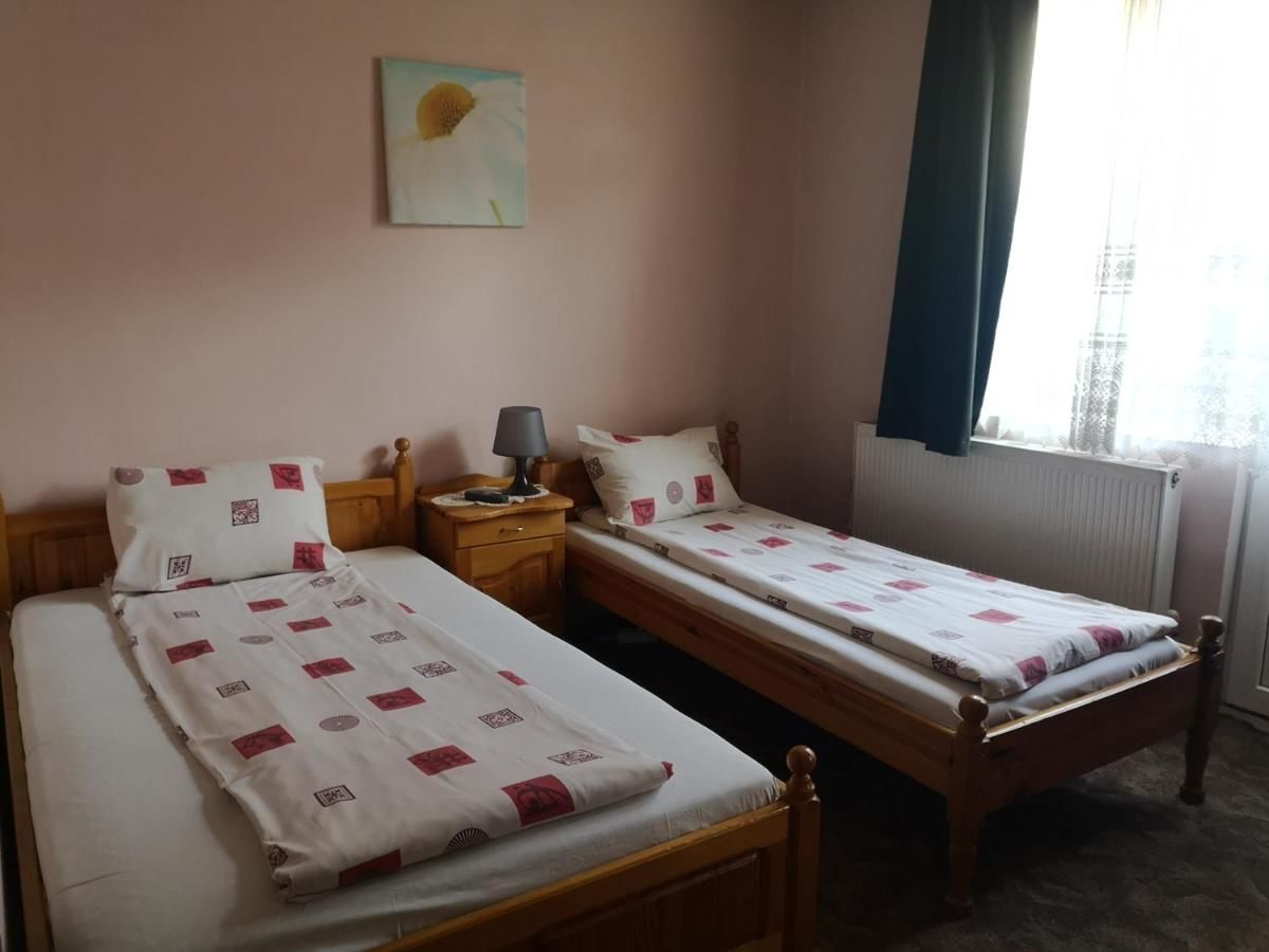 Гостевой дом Andreevi Guest House Добриниште-31