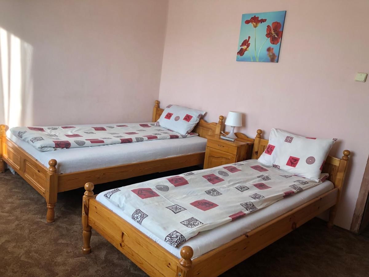 Гостевой дом Andreevi Guest House Добриниште